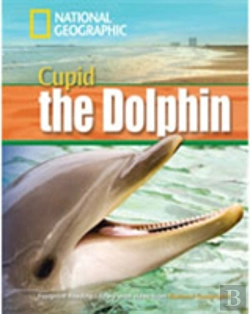 Bertrand.pt - A Dolphin Named Cupid