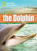 A Dolphin Named Cupid