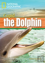 A Dolphin Named Cupid