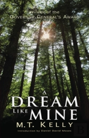 A Dream Like Mine