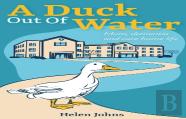 A Duck Out Of Water