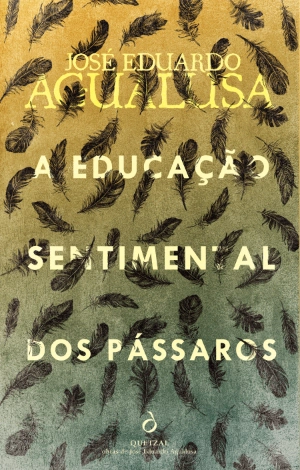 A Educação Sentimental dos Pássaros