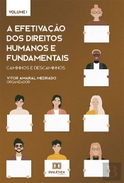 A Efetivação Dos Direitos Humanos E Fundamentais: Caminhos E Descaminhos