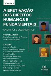 A Efetivação Dos Direitos Humanos E Fundamentais