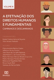 A Efetivação Dos Direitos Humanos E Fundamentais