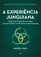 A Experiência Junguiana