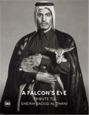 A Falconâ€™S Eye