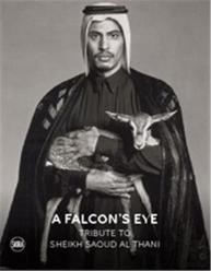 A Falconâ€™S Eye