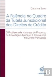 A Falência no Quadro da Tutela Jurisdicional dos Direitos de Crédito