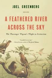 A Feathered River Across The Sky