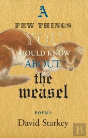 A Few Things You Should Know About The Weasel