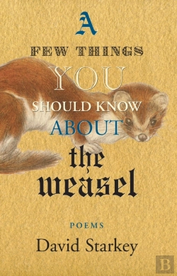 Bertrand.pt - A Few Things You Should Know About The Weasel