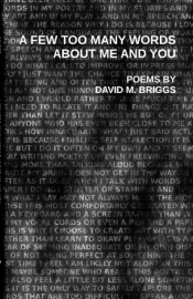 A Few Too Many Words About Me And You