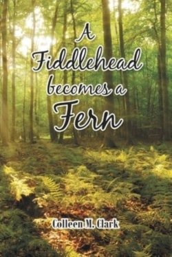 Bertrand.pt - A Fiddlehead Becomes A Fern