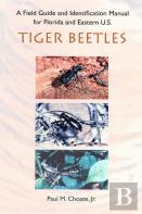 A Field Guide And Identification Manual For Florida And Eastern U.S. Tiger Beetles
