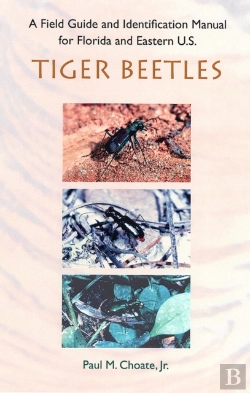 Bertrand.pt - A Field Guide And Identification Manual For Florida And Eastern U.S. Tiger Beetles