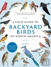 A Field Guide To Backyard Birds Of North America