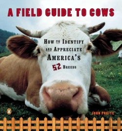 Bertrand.pt - A Field Guide To Cows