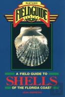 A Field Guide To Shells Of The Florida Coast