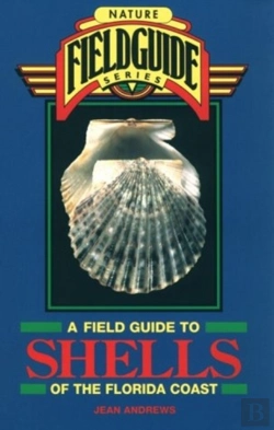 Bertrand.pt - A Field Guide To Shells Of The Florida Coast