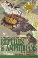A Field Guide To Texas Reptiles And Amphibians
