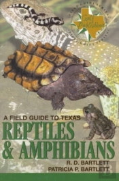 A Field Guide To Texas Reptiles And Amphibians
