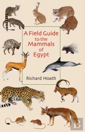 A Field Guide To The Mammals Of Egypt