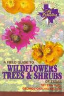 A Field Guide To Wildflowers, Trees And Shrubs Of Texas