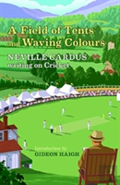 A Field Of Tents And Waving Colours