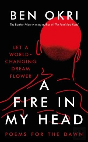 A Fire In My Head