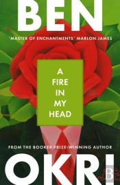 A Fire In My Head