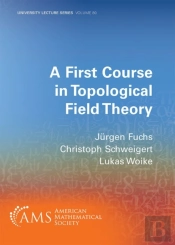 A First Course In Topological Field Theory