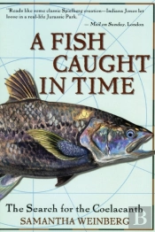 A Fish Caught In Time