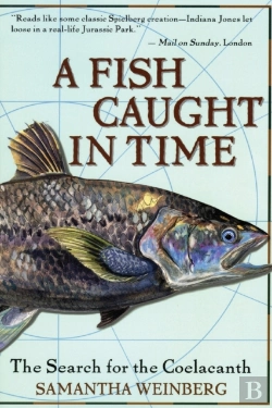 Bertrand.pt - A Fish Caught In Time