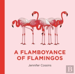 Bertrand.pt - A Flamboyance Of Flamingos