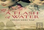 A Flash Of Water
