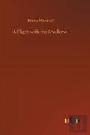 A Flight With The Swallows