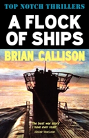 A Flock Of Ships