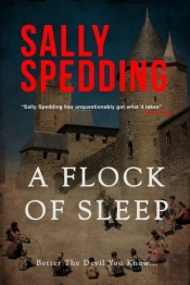 A Flock Of Sleep