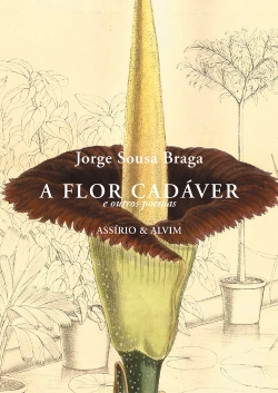 Bertrand.pt - A Flor Cadáver