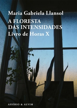 Bertrand.pt - A Floresta das Intensidades