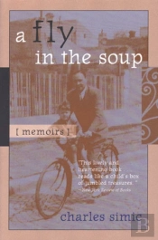 A Fly In The Soup