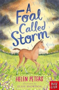 Bertrand.pt - A Foal Called Storm