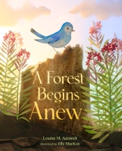 A Forest Begins Anew