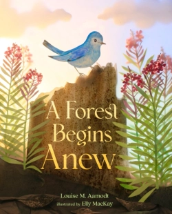 Bertrand.pt - A Forest Begins Anew