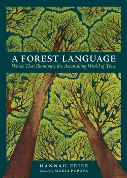 Bertrand.pt - A Forest Language