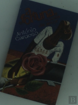 Bertrand.pt - A Fortuna Novela de Amor