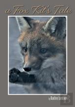 A Fox Kit'S Tale