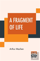 A Fragment Of Life