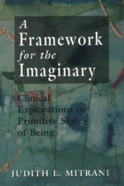 A Framework For The Imaginary